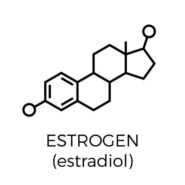 illustrazioni stock, clip art, cartoni animati e icone di tendenza di icona della linea sottile del vettore della struttura molecolare dell'estrogeno. formula chimica - estrogeno