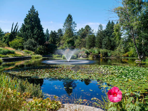 istock Fountain in Majestic Garden 1435436146