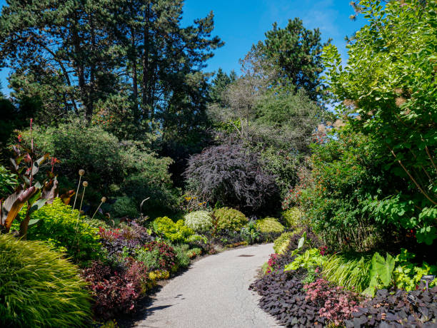 istock Trail in Amazing Garden 1435437018