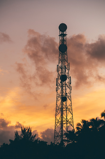 A vertical shot with a silhouette of a huge communication tower with multiple cell phone antennas and different repeaters with a stunning evening skyscape in the background and silhouettes of palms