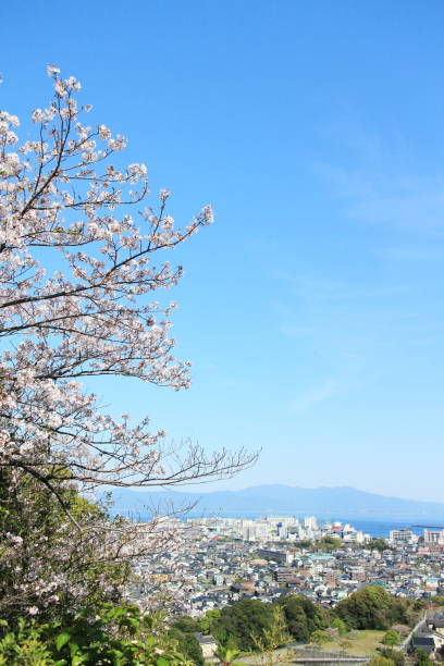 istock A view of spring from the Park 1435437191