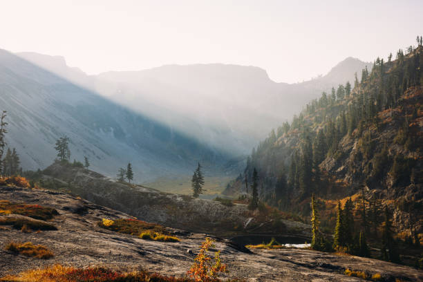 A beautiful Autumn day in Mount Baker area, Washington state, USA.  The fall colors of the Pacific Northwest are visible with vibrant red and yellow leaves on the ground cover.    A wonderful place of nature to explore and discover.