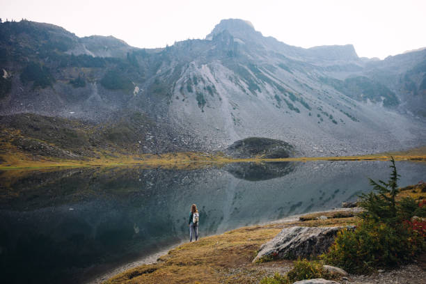 istock Woman Hiking In Washington State Wilderness Area 1435449063