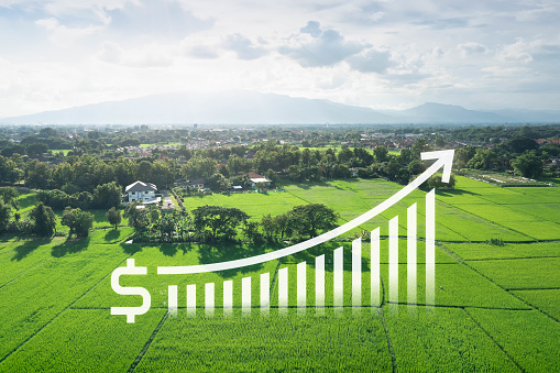 Land value in aerial view consist of landscape of green field or agriculture farm, growth graph of rate market price. That real estate or property for agent, real estate agent, investor and lawyer to owned, sale, rent, buy, purchase, mortgage and investment in Chiang Mai of Thailand.