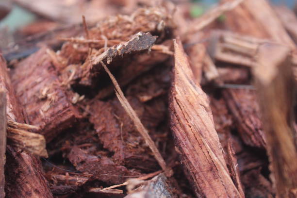 istock unused pieces of wood 1435455493