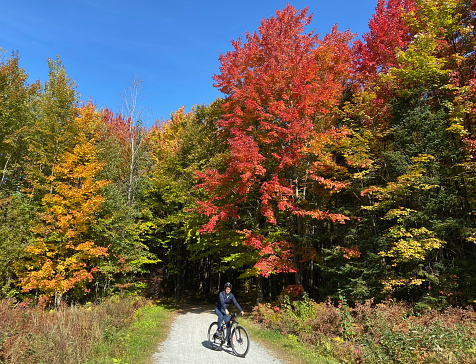 Bicycle, autumn, forest, man, cycling