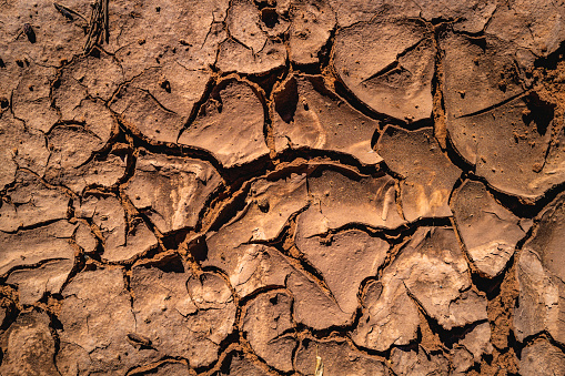 Dried cracked desert sand and soil in the arroyo or wash in Red Rock Park in Gallup, McKinley County, New Mexico, USA