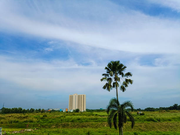 istock beautiful view of the sky 1435461210