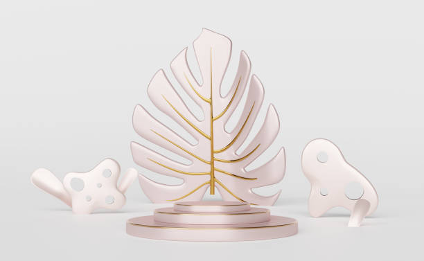 istock podium empty with leaf monstera in white composition for modern stage display and minimalist mockup ,abstract showcase background ,Concept 3d illustration or 3d render 1435465980