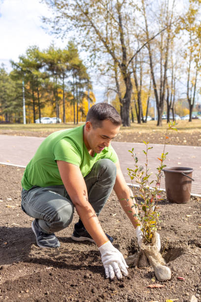 istock A man plants a tree in the city. Landscaping. Ecology. 1435470137