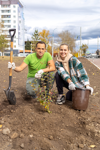 a young couple of volunteers planted a new tree in the city. Greening the city. Ecology.
