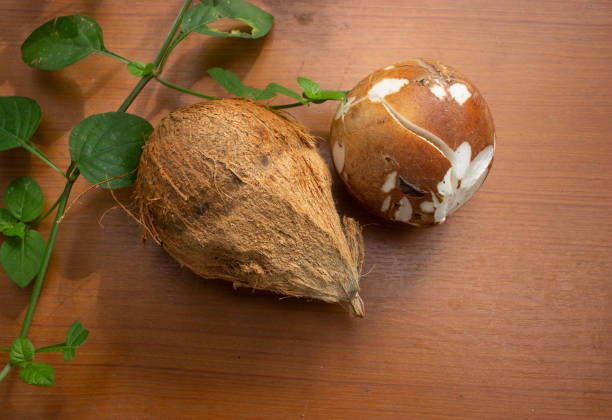 Peeled coconut and leaves on brown background