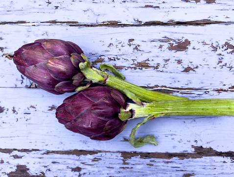 Organic Artichoke Growing in the Vegetable Garden