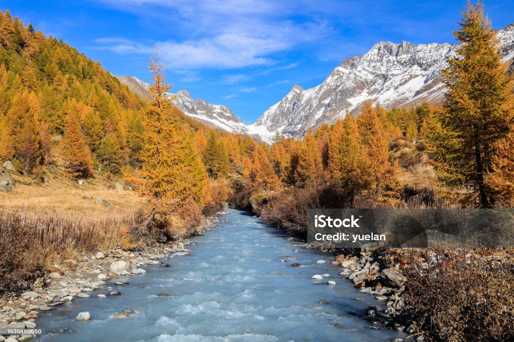 Lonza river in Lötschental valley, surrounded by autumnal larch trees with the Long Glacier Lonza river in Lötschental valley, surrounded by autumnal larch trees with the Long Glacier at the background, Canton of Valais, Switzerland Autumn Stock Photo