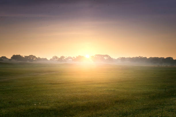 istock autumn grassland beautiful scenery in Inner Mongolia China 1435485642