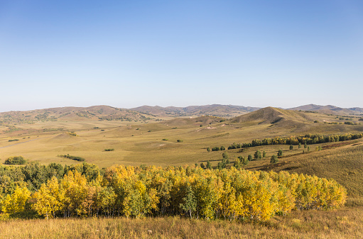 autumn grassland in Inner Mongolia