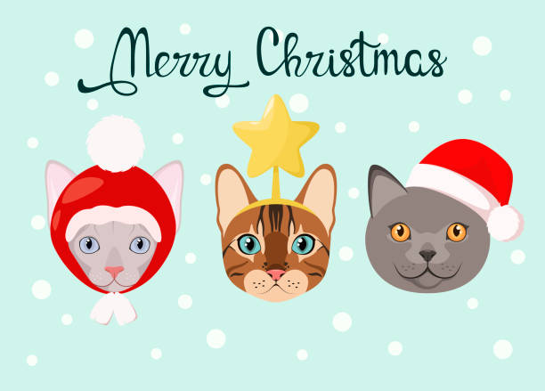 재미있는 고양이와 크리스마스 카드. - bengals stock illustrations