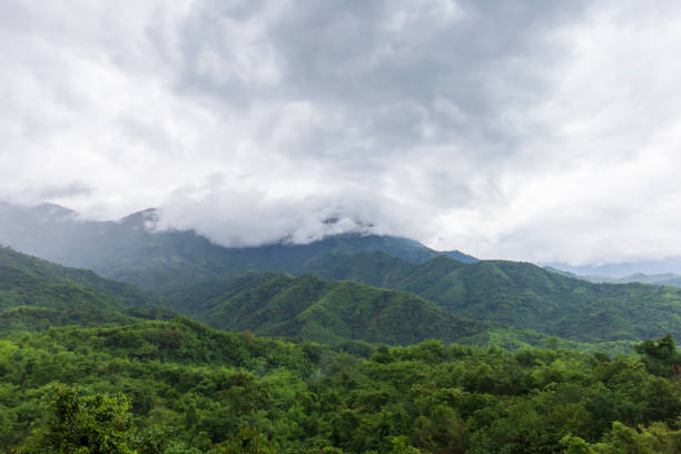 istock Misty landscape with green forests, fertile mountains. 1435491132