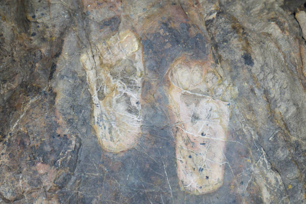 Buddha's feet on the stone floor.