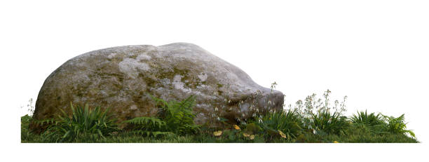 istock stone Garden decoration on a white background 1435494173