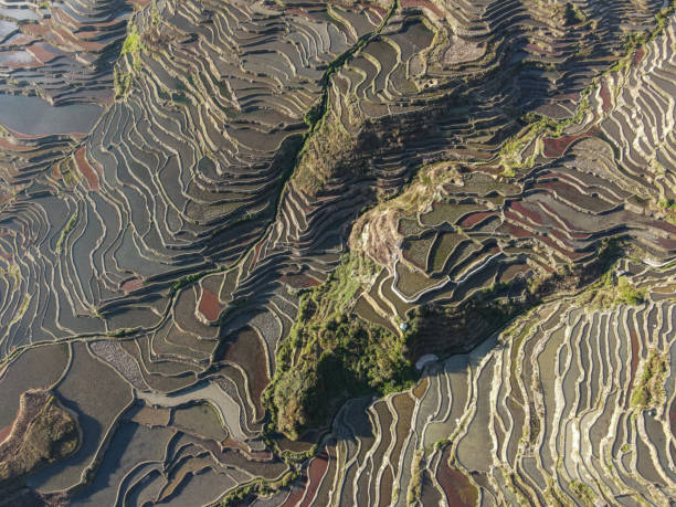 istock terraced fields in Yunnan China 1435494897