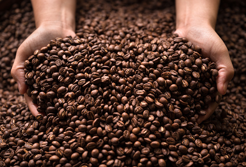 Coffee beans on woman hands with sun light