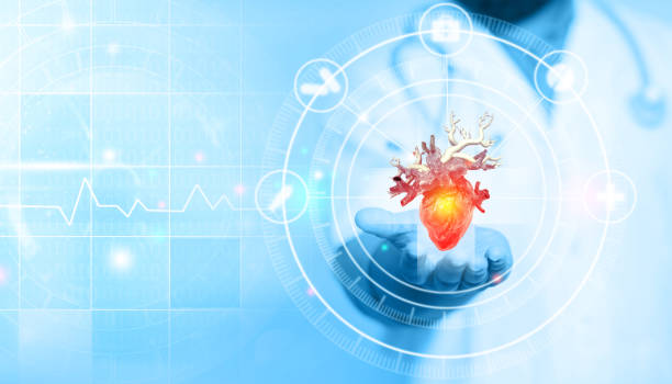 Doctor touchstone virtual Heart in hand. Arm supports the heart concept design. Heart disease diagnosis and treatment. 3d illustration Doctor touchstone virtual Heart in hand. Arm supports the heart concept design. Heart disease diagnosis and treatment. 3d illustration touchstone stock pictures, royalty-free photos & images