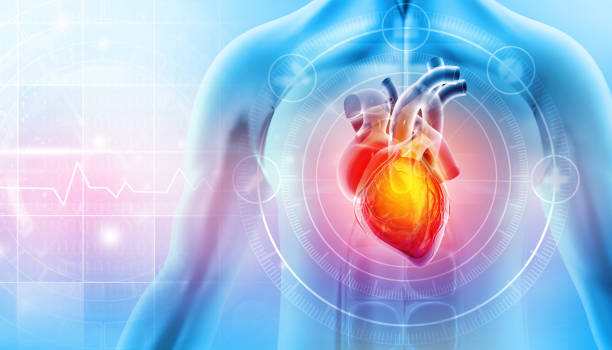 Heart attack and heart disease. 3d illustration stock photo