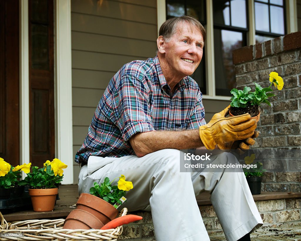 Senior Gardener retención tiesto - Foto de stock de Planta de cannabis libre de derechos