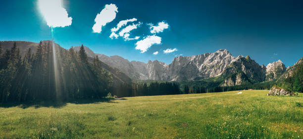 istock summer meadow in the julian alps 1435508341