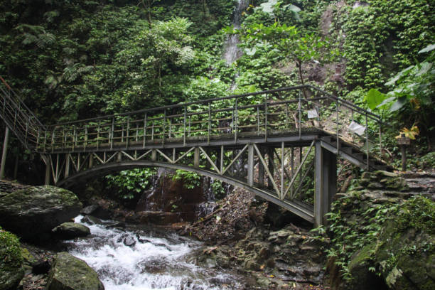 istock Wooden bridge by the stream 1435508909