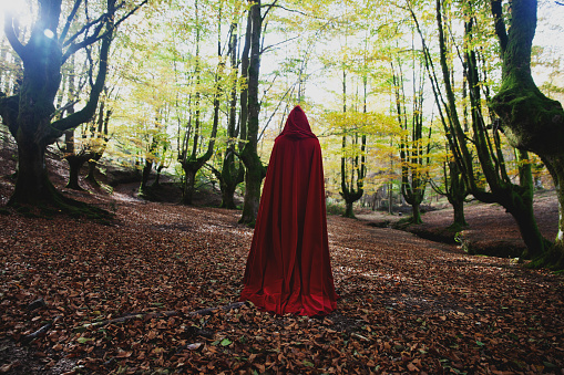 A person with his back turned and wearing a long red cape stands in the middle of a beautiful beech forest. Little red riding hood in the forest