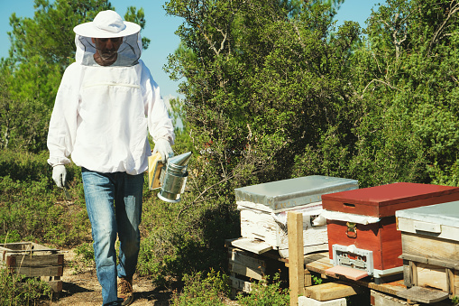 Portrait of a Turkish Beekeeper posing with bee bellows and suit.