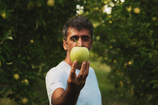 Portrait of a middle eastern holding an apple in his hand and posing in an apple orchard