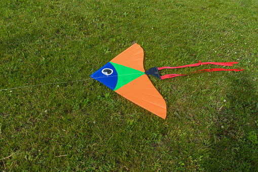 kite made as fish lying on the grass ready to play
