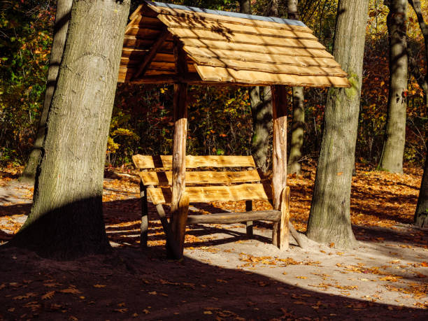 istock Wooden roofed bench among autumn tree trunks 1435515145