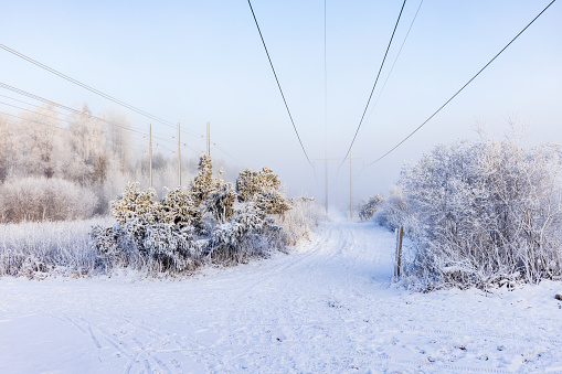 Hiking trail under a power line in winter
