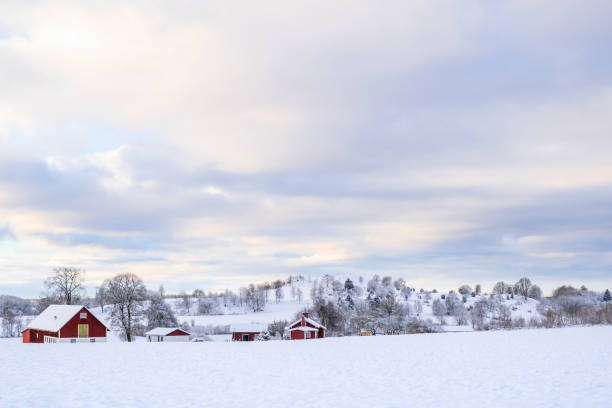 istock Rural landscape view in the winter 1435519564