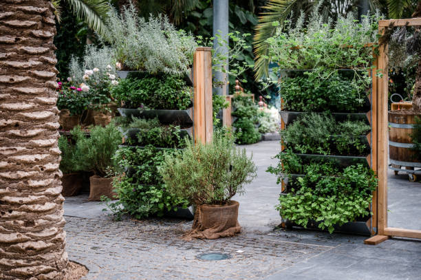 vertical garden for greening walls and growing herbs, vegetables on balconies and terraces or in courtyards