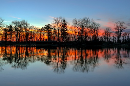Autumn tree reflections in a pond at sunset