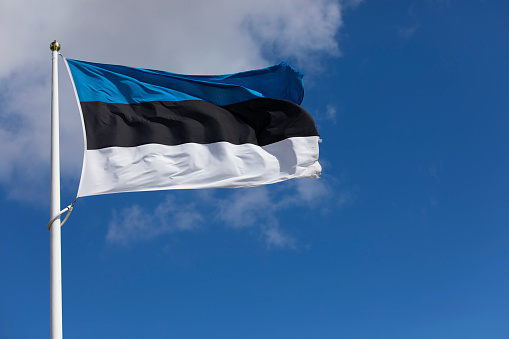 Estonian flag waving in the wind
