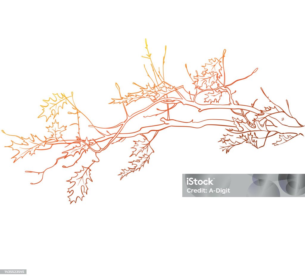 Simple Fall Branch Fall Leaves And Branches Sunset Stock Illustration - Download Image Now ...