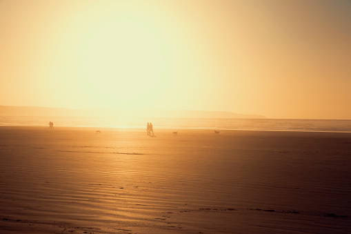 People in silhouette walking dogs at sunset in North Devon, Westward Ho!