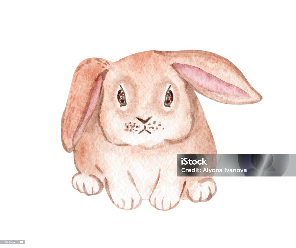 Cute Rabbit Front Watercolor Cute Brown Rabbit Isolated On White Sitting Lop Eared Bunny ...