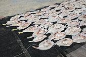 gesalzener-fisch-getrocknet-unter-der-sonne-in-pulau-omadal-sabah.jpg?b=1&s=170x170&k=20&c=2KdUR83AVAoZGo_vSfwoUnO9lH62olCuijpgifJNk6Q=