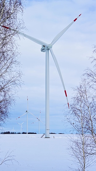 Wind turbines on a frosty winter day in a snowy field. Alternative energy sources in severe weather conditions. Picturesque winter landscape.