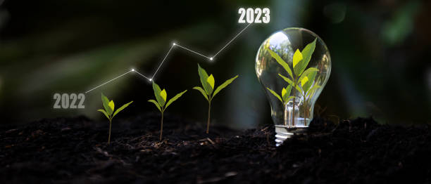 istock Saving and growth energy and environment.  Tree growth compared to year 2022 to 2023 in light bulb for saving Ecology energy nature. Development to success Year 2023 1435531382