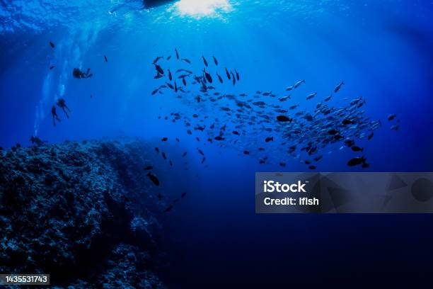 Safety Stop After Spectacular Scuba Dive At Famous Blue Corner Palau Micronesia Stock Photo - Download Image Now