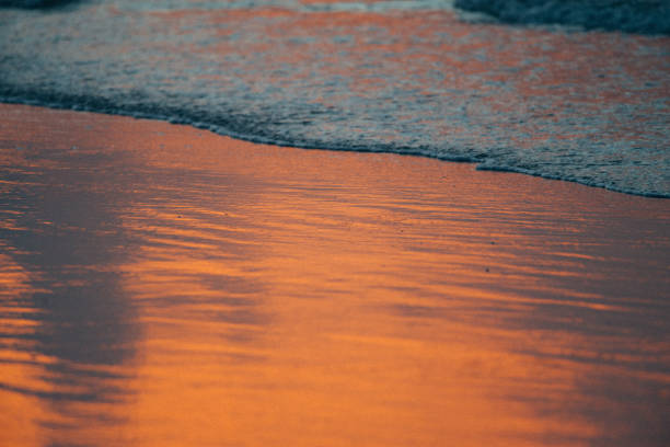 Waves arriving ashore on a beautiful summer evening, summer colors