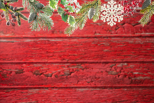 Christmas red background with top fir tree, snowflake, holly and copy space